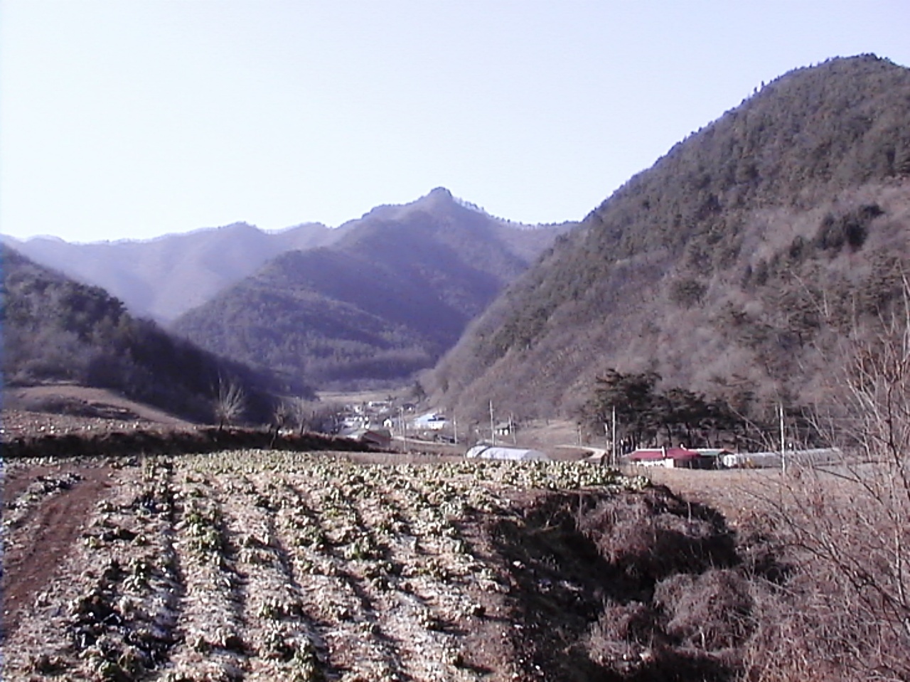 ��ſ� �ð� �Ǽ���