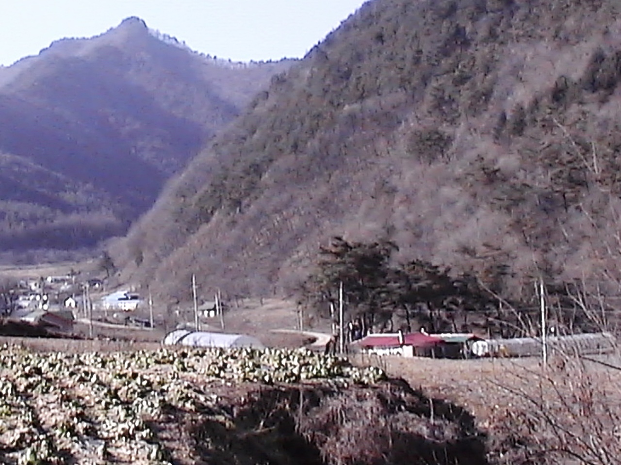 ��ſ� �ð� �Ǽ���