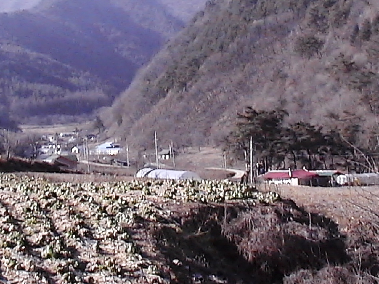 ��ſ� �ð� �Ǽ���