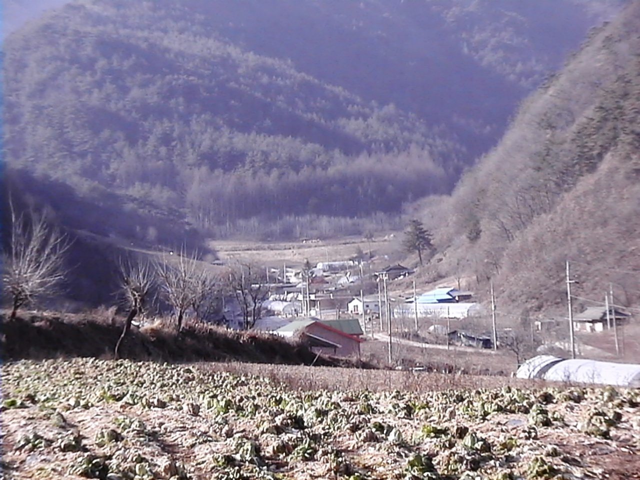 ��ſ� �ð� �Ǽ���