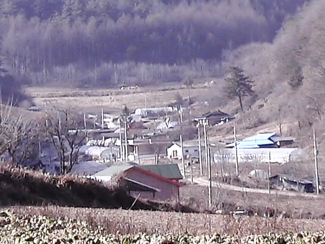 ��ſ� �ð� �Ǽ���