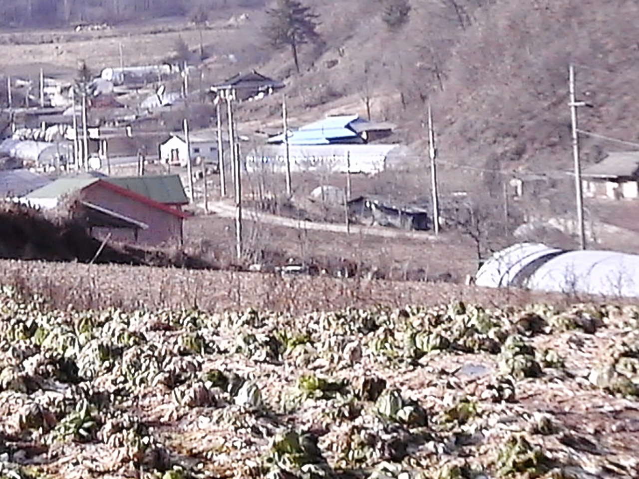 ��ſ� �ð� �Ǽ���