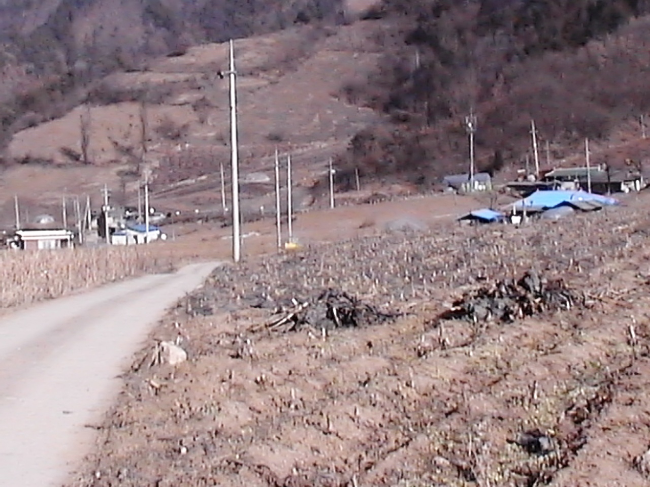 ��ſ� �ð� �Ǽ���