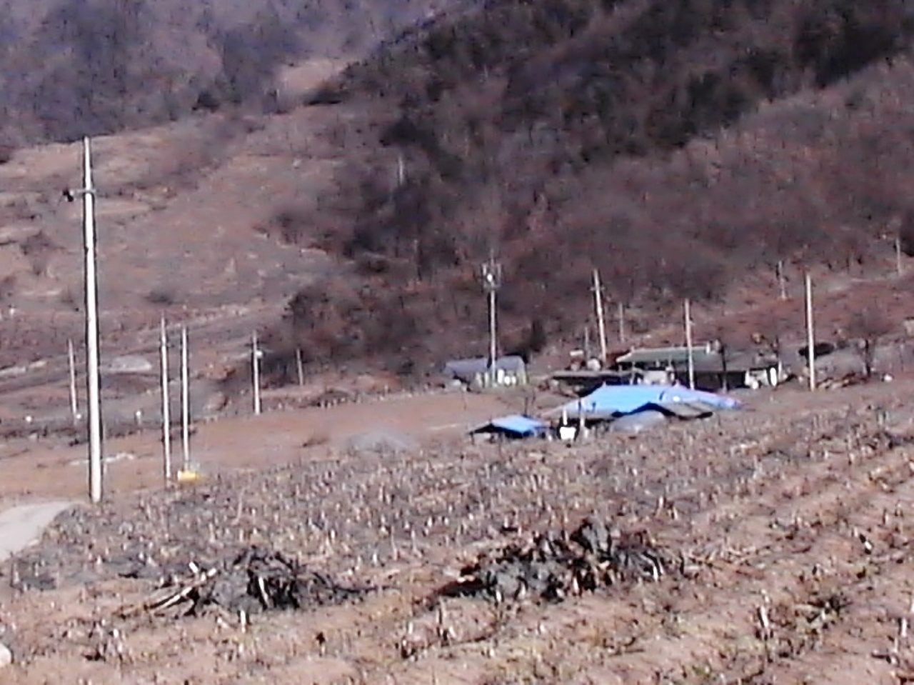 ��ſ� �ð� �Ǽ���