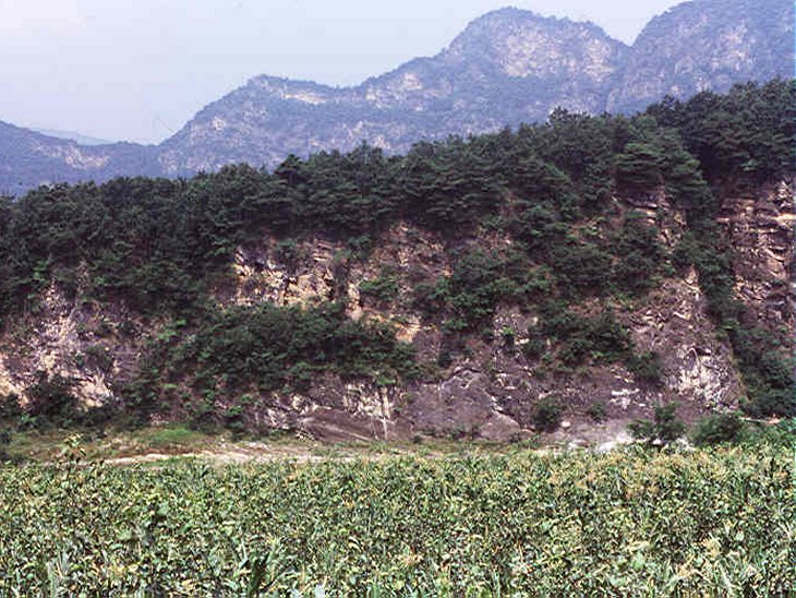 ��ſ� �ð� �Ǽ���