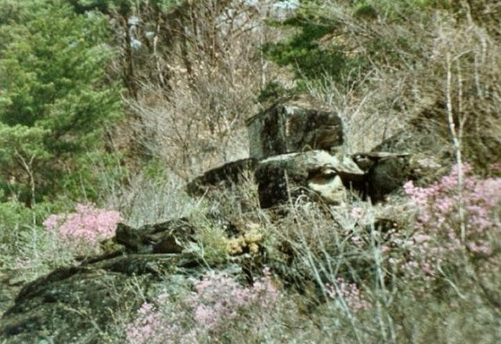 ��ſ� �ð� �Ǽ���