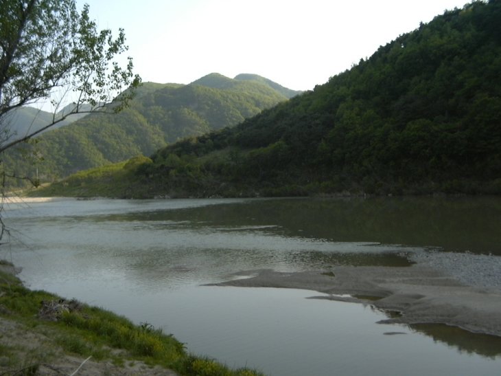 ��ſ� �ð� �Ǽ���