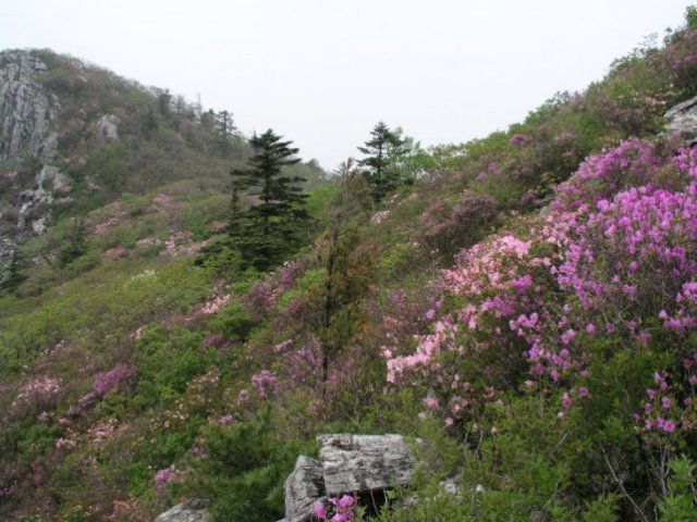 ��ſ� �ð� �Ǽ���