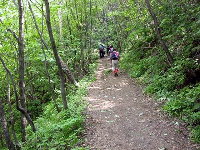 ��ſ� �ð� �Ǽ���