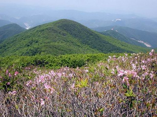 ��ſ� �ð� �Ǽ���