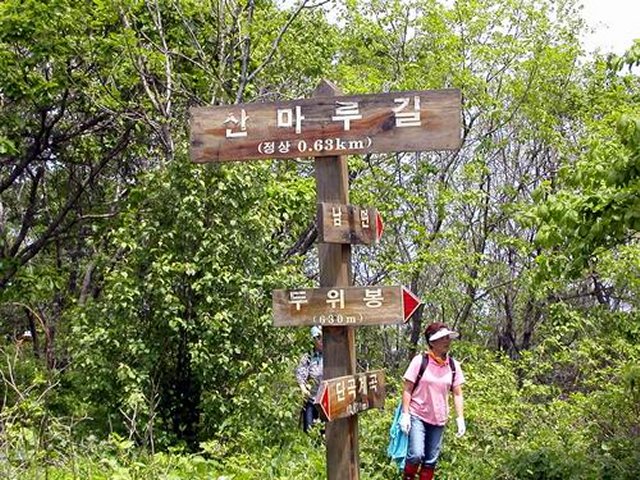 ��ſ� �ð� �Ǽ���