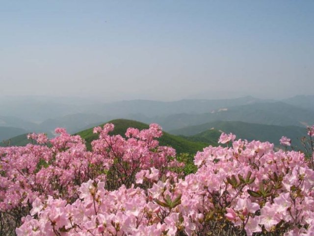 ��ſ� �ð� �Ǽ���