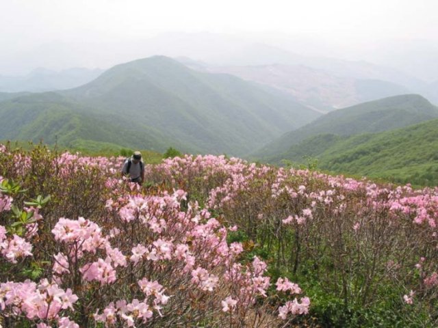 ��ſ� �ð� �Ǽ���