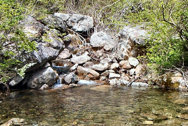 ��ſ� �ð� �Ǽ���