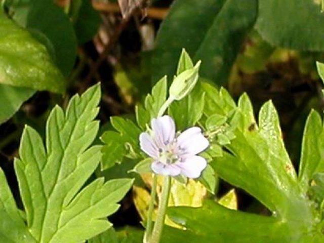 ��ſ� �ð� �Ǽ���