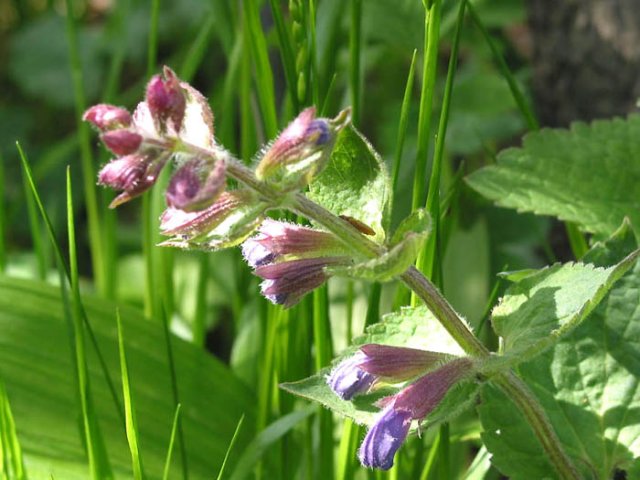 ��ſ� �ð� �Ǽ���