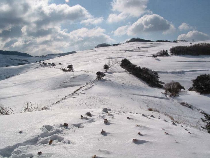 ��ſ� �ð� �Ǽ���