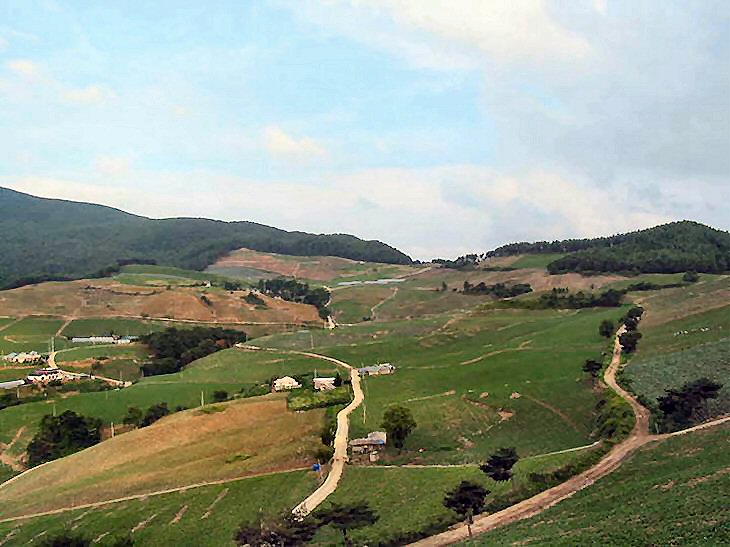 ��ſ� �ð� �Ǽ���