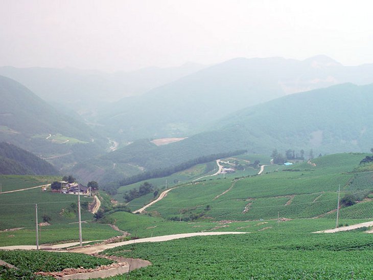 ��ſ� �ð� �Ǽ���