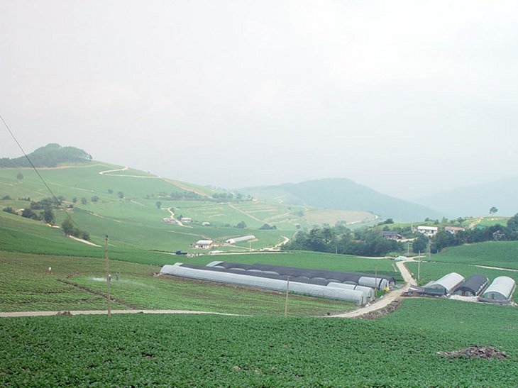 ��ſ� �ð� �Ǽ���