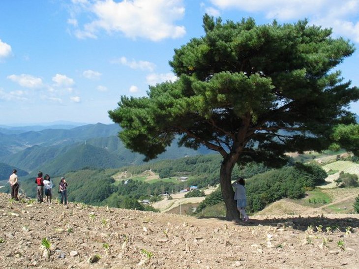 ��ſ� �ð� �Ǽ���