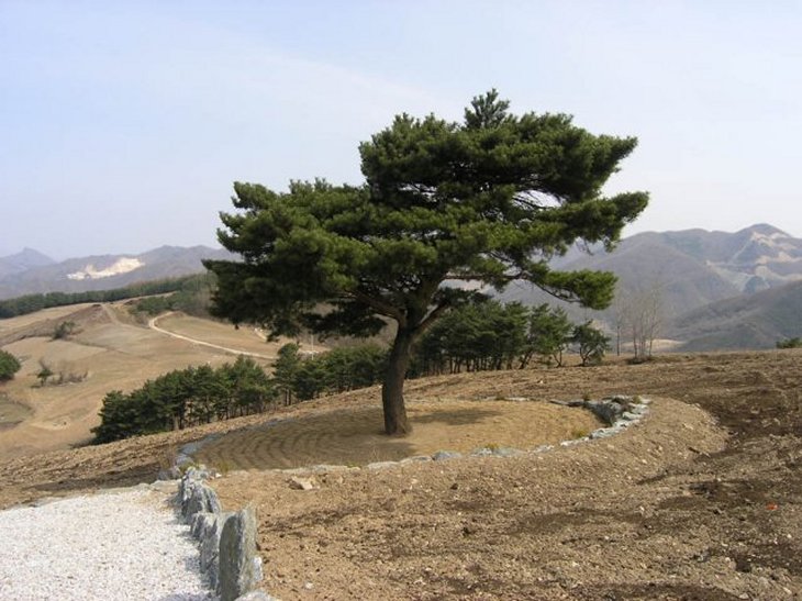 ��ſ� �ð� �Ǽ���