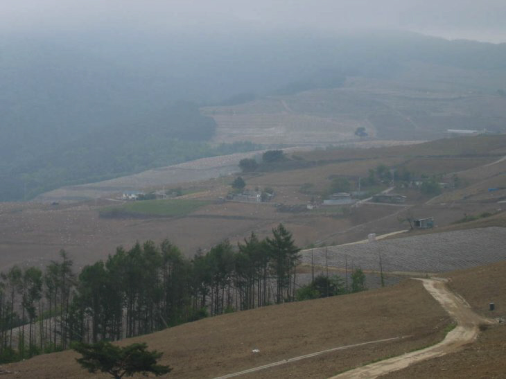 ��ſ� �ð� �Ǽ���