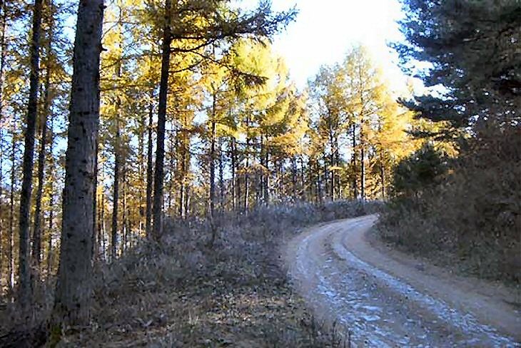 ��ſ� �ð� �Ǽ���