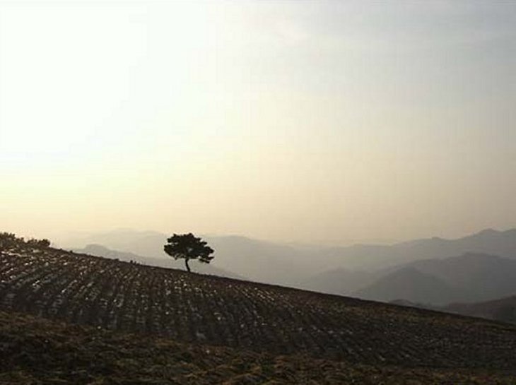 ��ſ� �ð� �Ǽ���