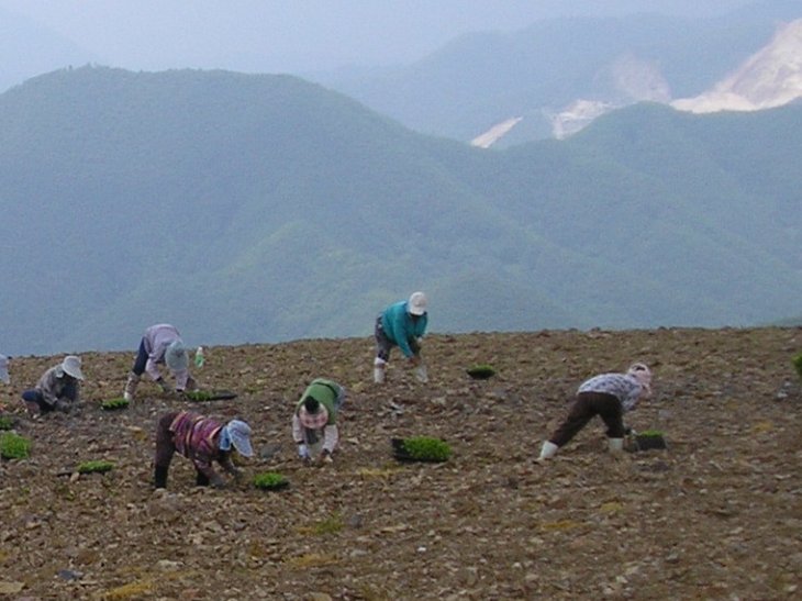 ��ſ� �ð� �Ǽ���