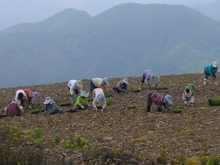 ��ſ� �ð� �Ǽ���