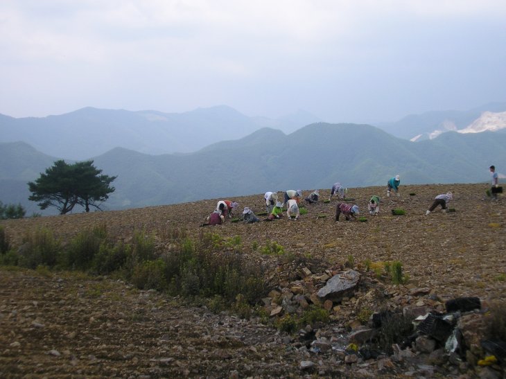 ��ſ� �ð� �Ǽ���