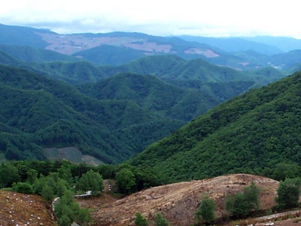 ��ſ� �ð� �Ǽ���