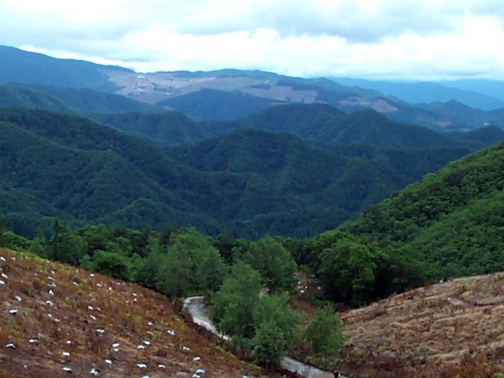 ��ſ� �ð� �Ǽ���