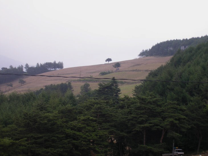 ��ſ� �ð� �Ǽ���