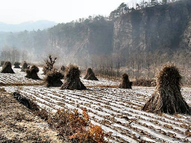 ��ſ� �ð� �Ǽ���