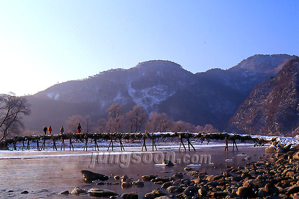 ��ſ� �ð� �Ǽ���