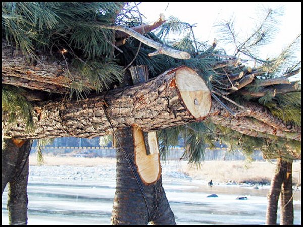 ��ſ� �ð� �Ǽ���