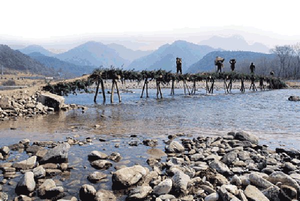 ��ſ� �ð� �Ǽ���