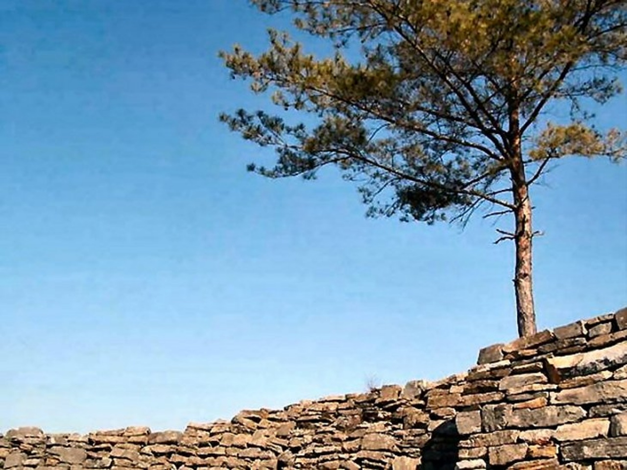 ��ſ� �ð� �Ǽ���