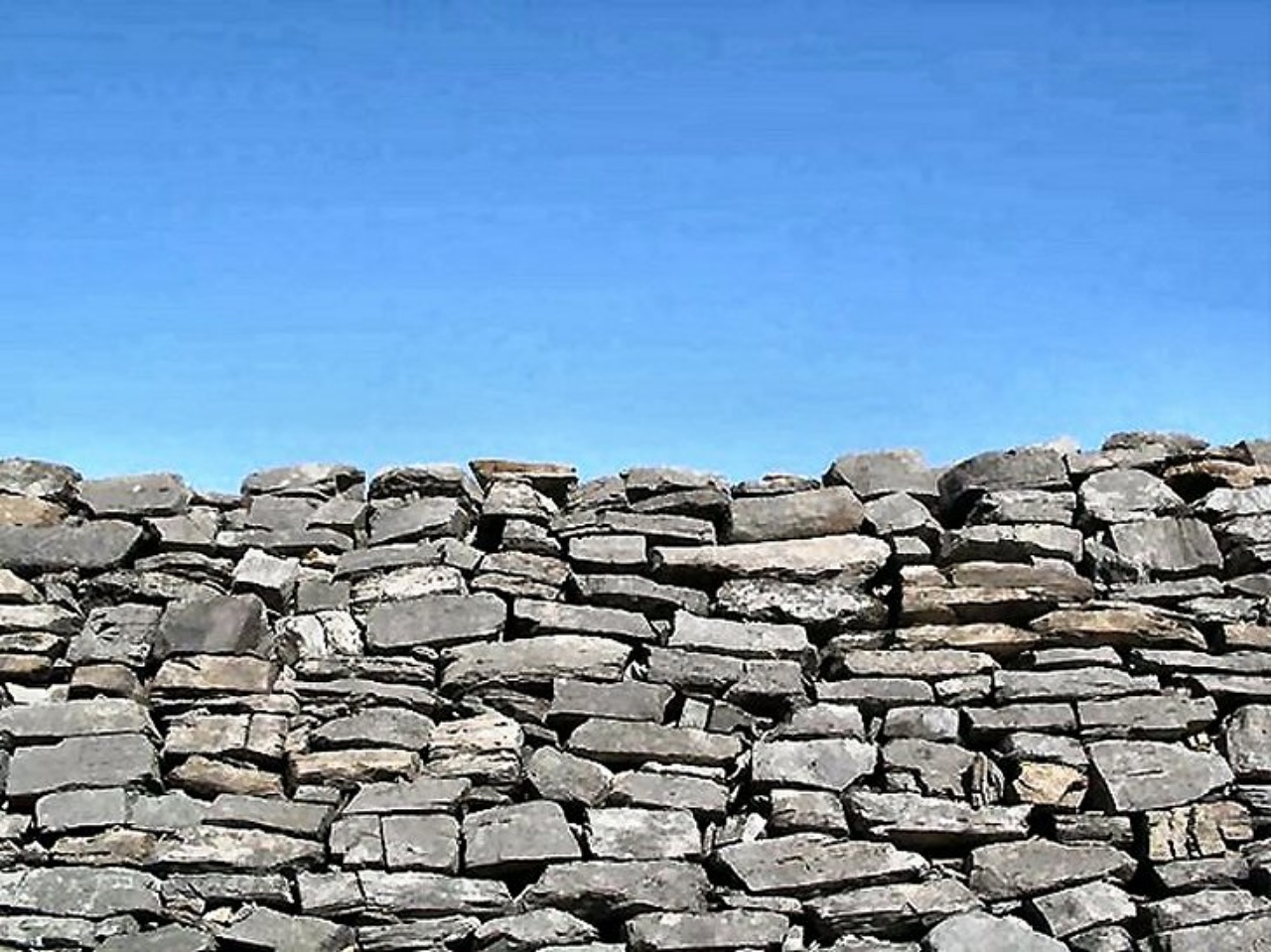 ��ſ� �ð� �Ǽ���