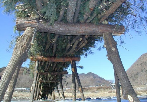 ��ſ� �ð� �Ǽ���