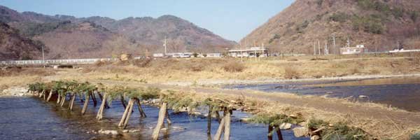 ��ſ� �ð� �Ǽ���