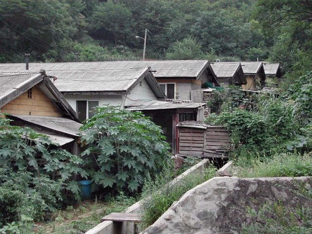 ��ſ� �ð� �Ǽ���