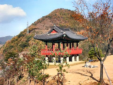 ��ſ� �ð� �Ǽ���