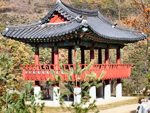 ��ſ� �ð� �Ǽ���