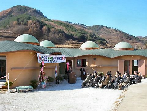 ��ſ� �ð� �Ǽ���